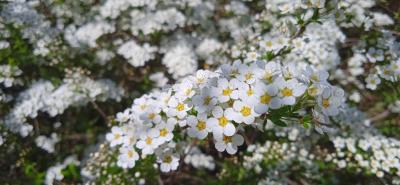 Прикрепленное изображение: prIMG_20220424_115125_1.jpg